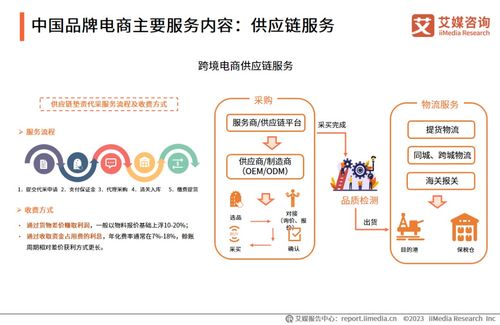 2023年中國品牌電商服務(wù)行業(yè)研究報告 信息咨詢服務(wù)深度解析